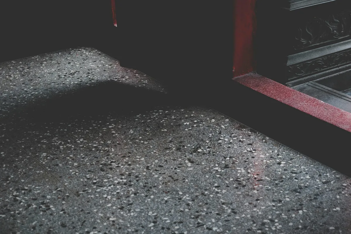 Suelo de terrazo oscuro en un portal, con la luz entrando por la puerta